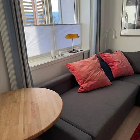 아파트 Studio Drammen *